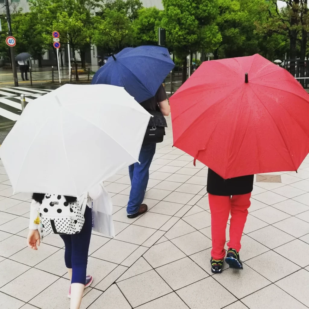 Umbrellas walking Japan