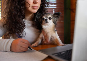 Balancing Your Life as a Digital Nomad and a Dog Owner